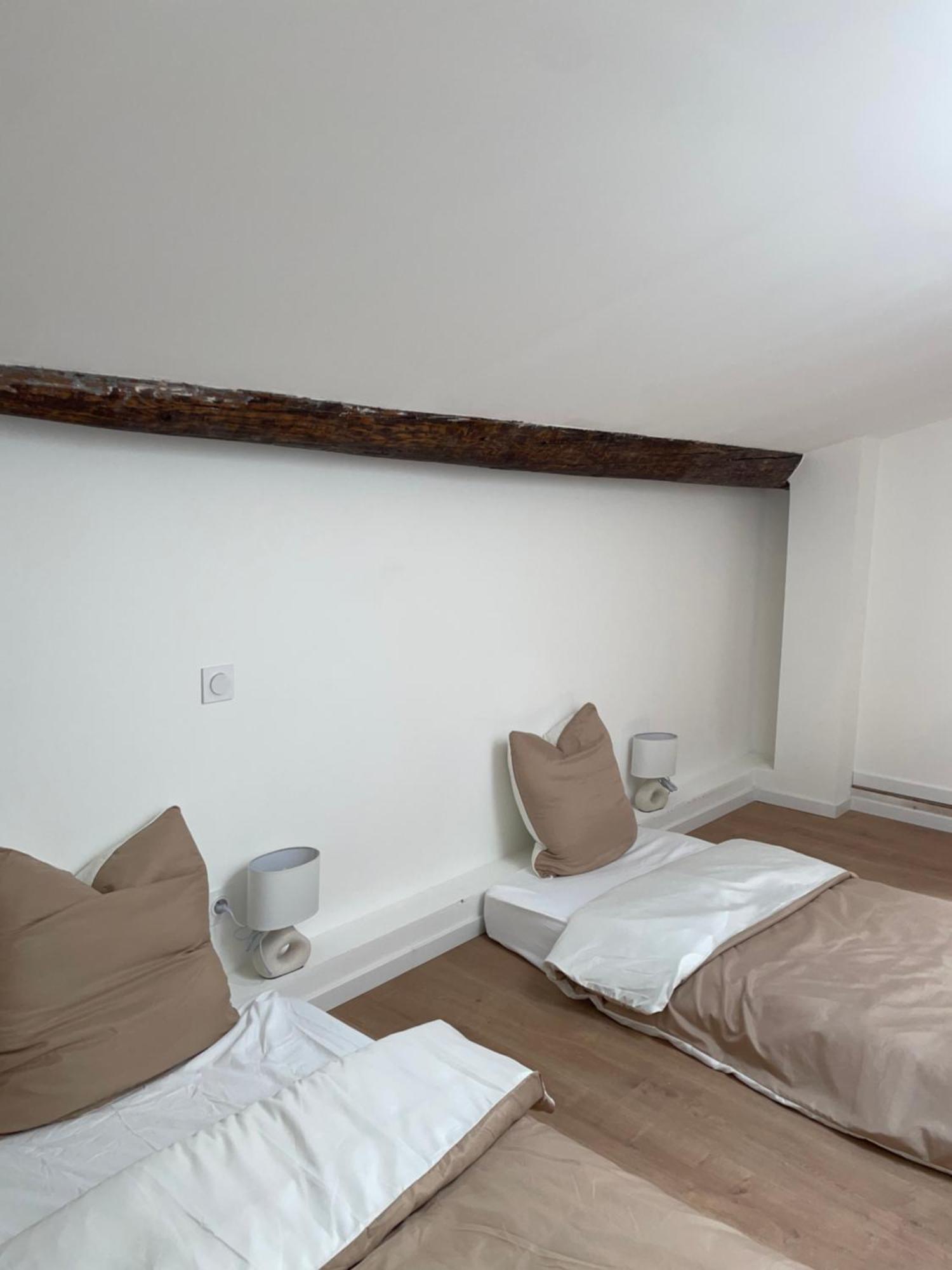 Duplex Raffine, Elegant & Climatise - La Mezz Apartment Nimes Exterior photo
